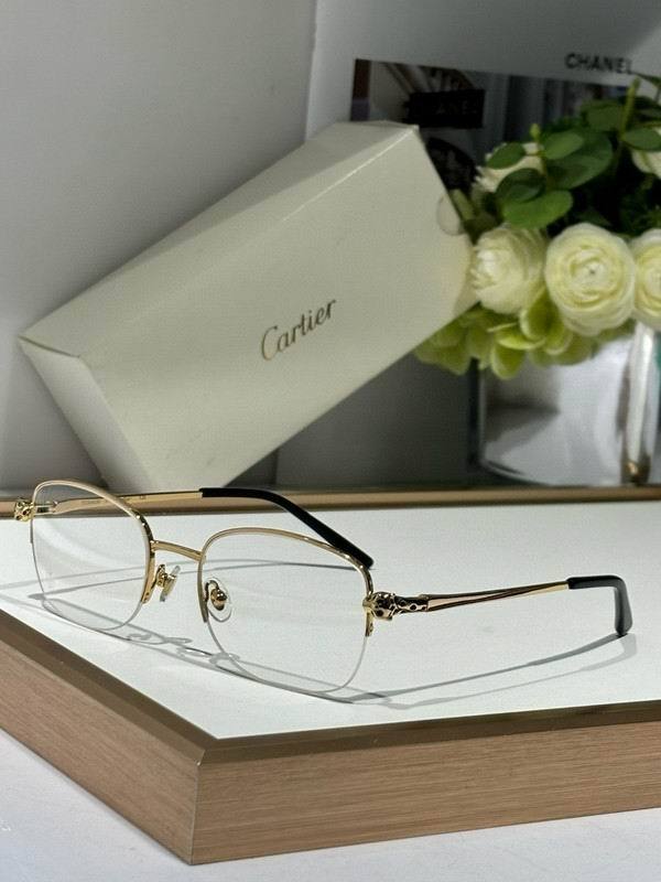 CTR Sunglasses AAA-666