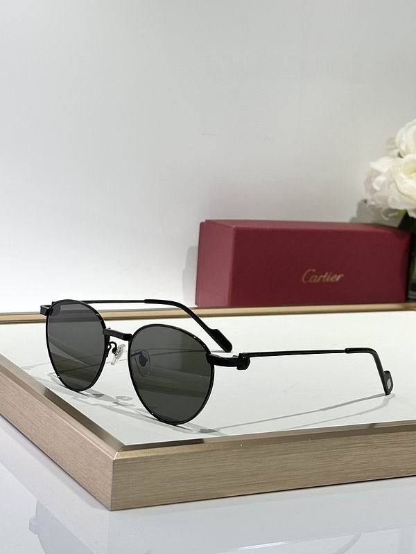 CTR Sunglasses AAA-665
