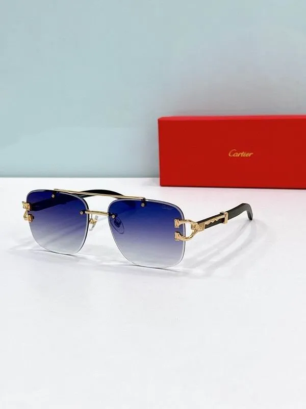 CTR Sunglasses AAA-649