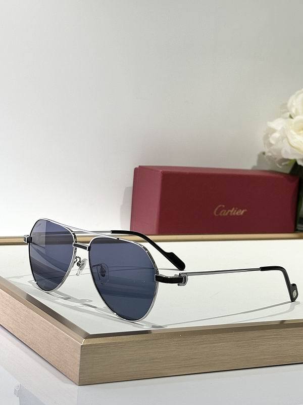CTR Sunglasses AAA-663