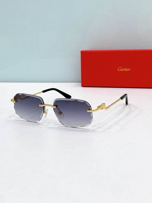 CTR Sunglasses AAA-648