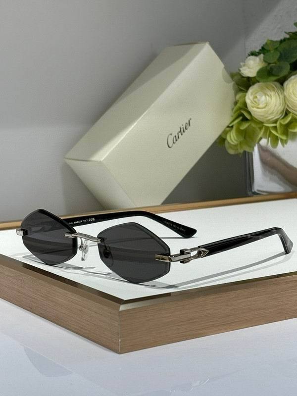CTR Sunglasses AAA-658