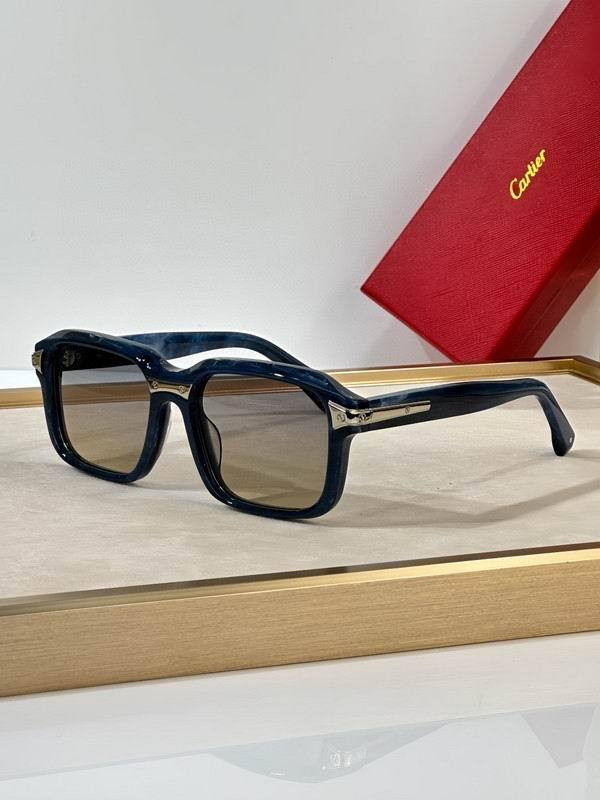 CTR Sunglasses AAA-655