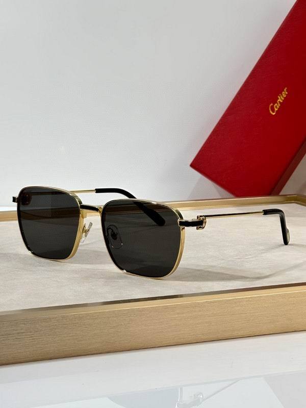 CTR Sunglasses AAA-653