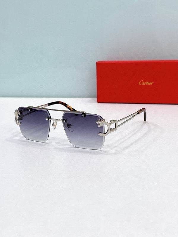 CTR Sunglasses AAA-650