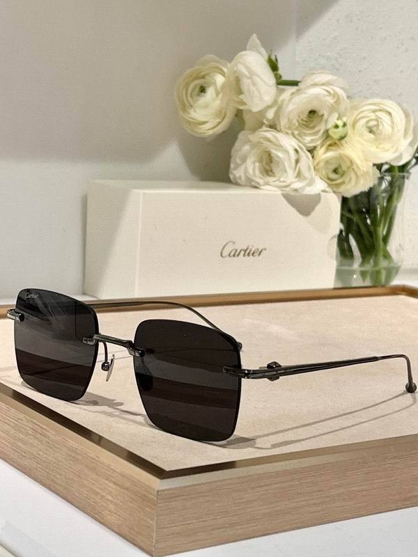 CTR Sunglasses AAA-662
