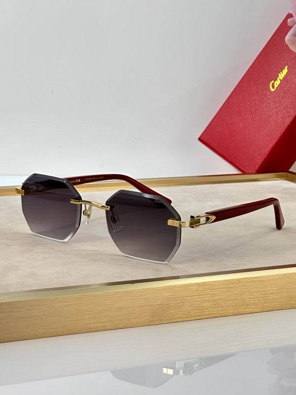 CTR Sunglasses AAA-656