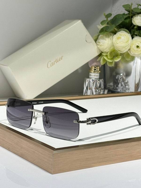 CTR Sunglasses AAA-670