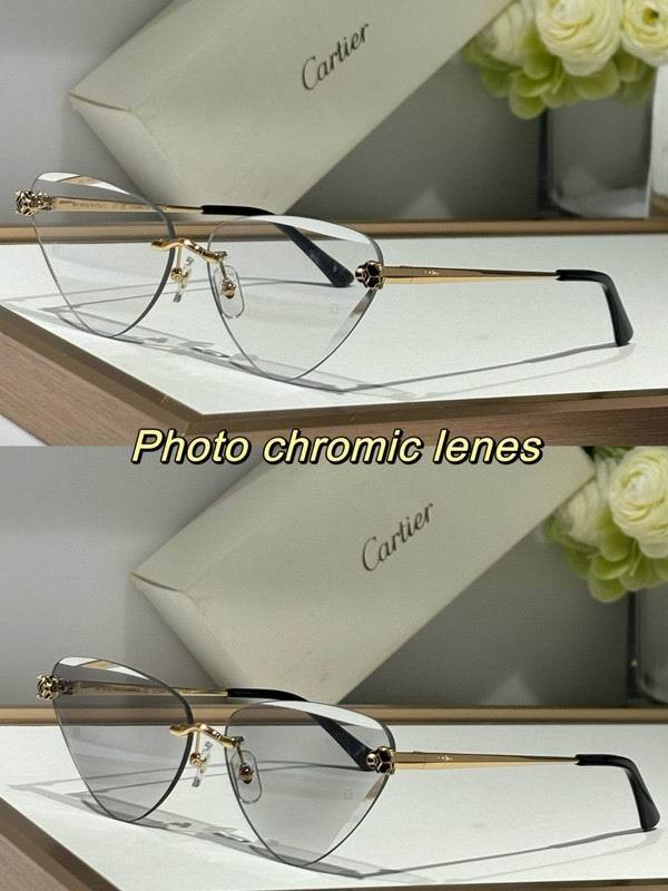 CTR Sunglasses AAA-682
