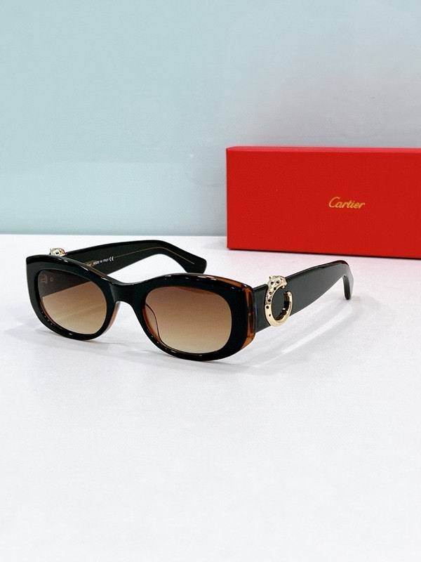 CTR Sunglasses AAA-676