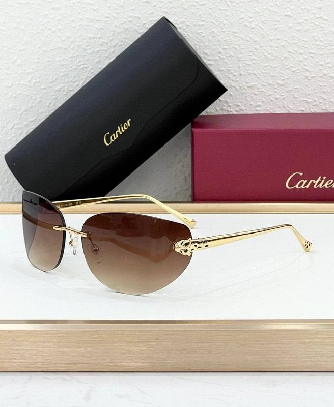CTR Sunglasses AAA-688