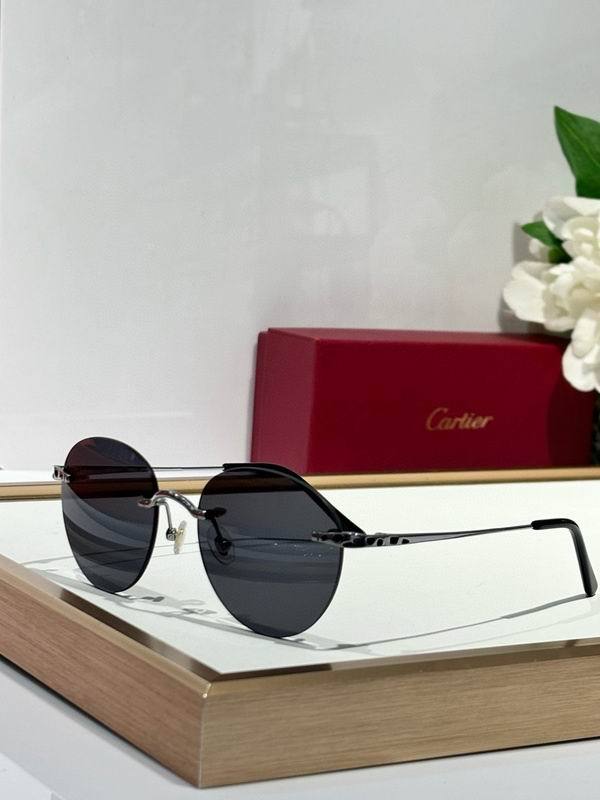 CTR Sunglasses AAA-673