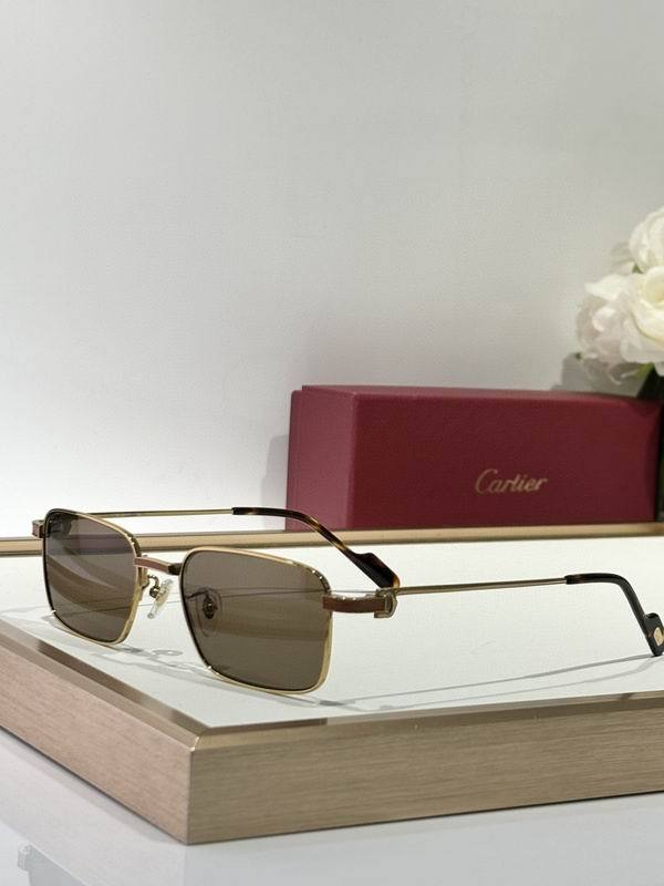 CTR Sunglasses AAA-668