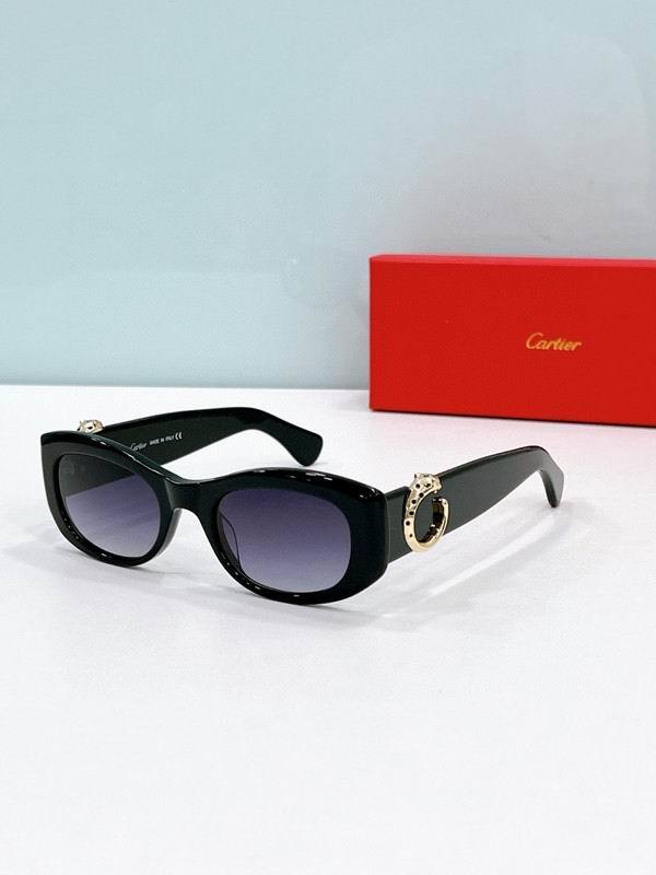 CTR Sunglasses AAA-676