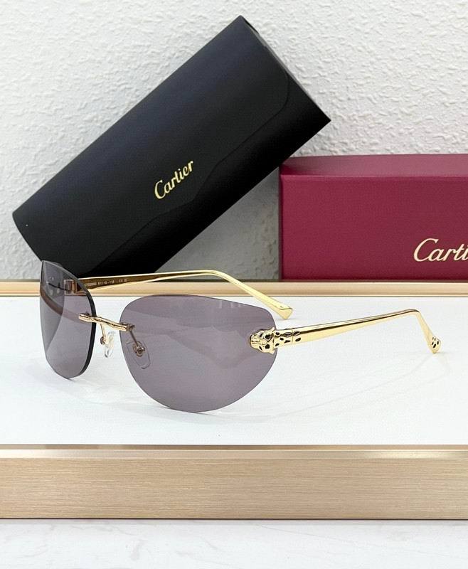CTR Sunglasses AAA-688