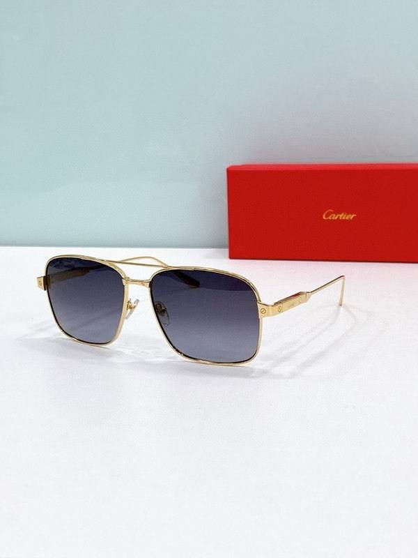 CTR Sunglasses AAA-672