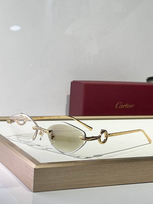 CTR Sunglasses AAA-683
