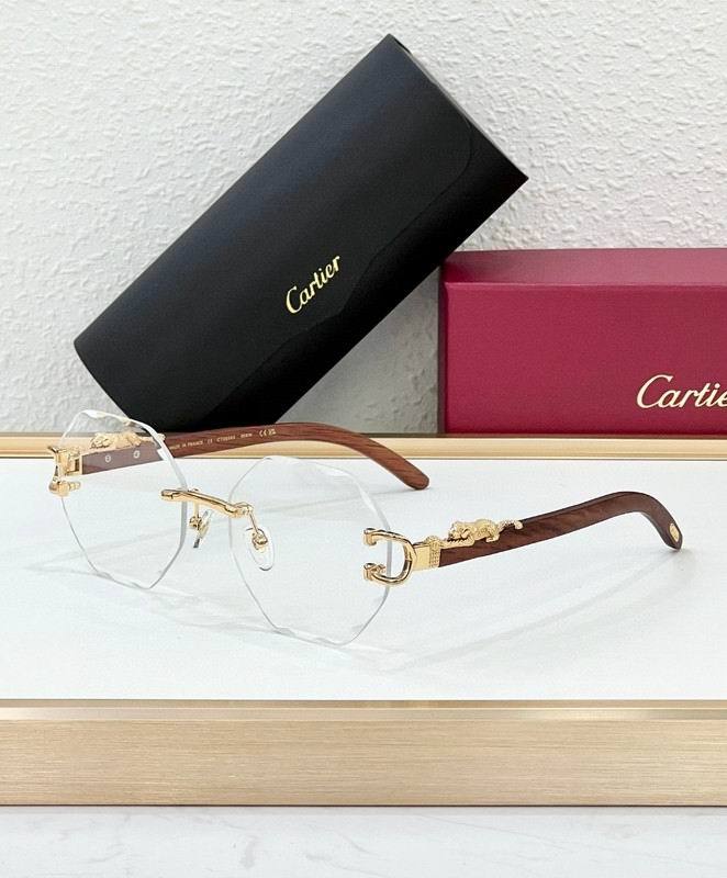 CTR Sunglasses AAA-690