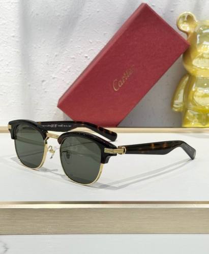 CTR Sunglasses AAA-689