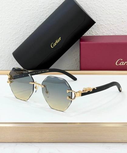 CTR Sunglasses AAA-690