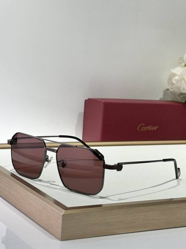 CTR Sunglasses AAA-669