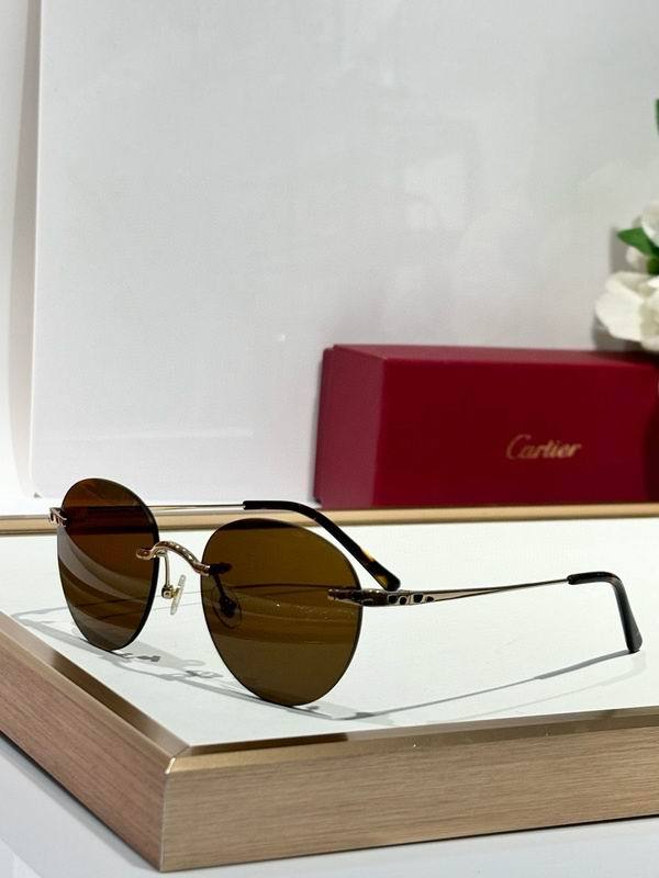 CTR Sunglasses AAA-673