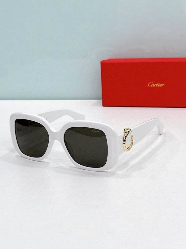 CTR Sunglasses AAA-675