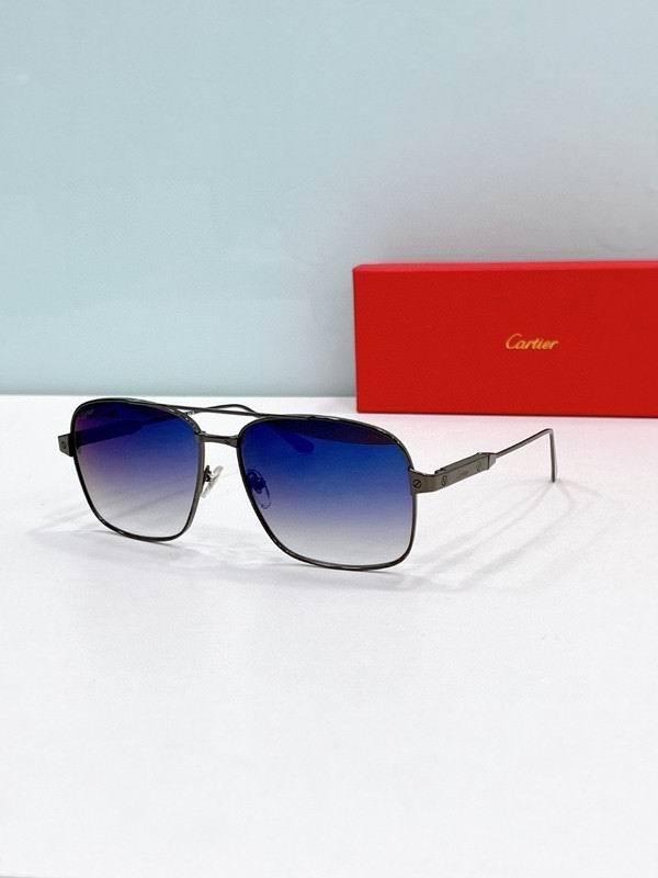 CTR Sunglasses AAA-672