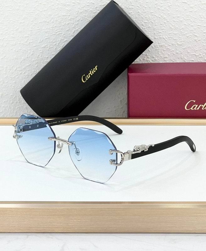 CTR Sunglasses AAA-690