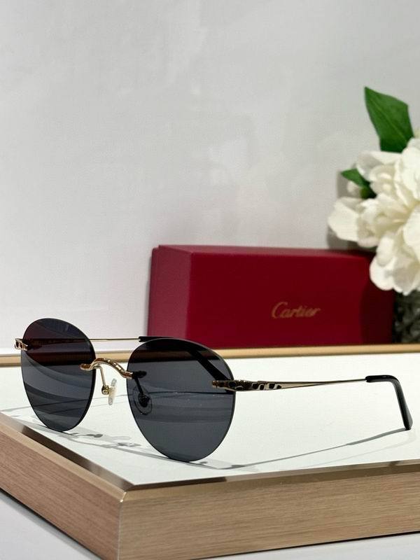 CTR Sunglasses AAA-673