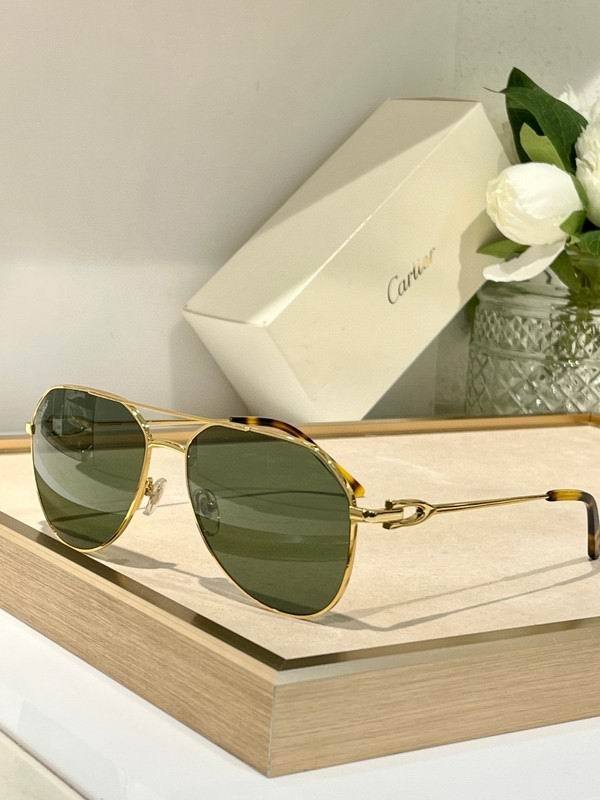 CTR Sunglasses AAA-677