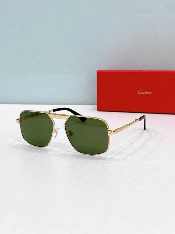 CTR Sunglasses AAA-685