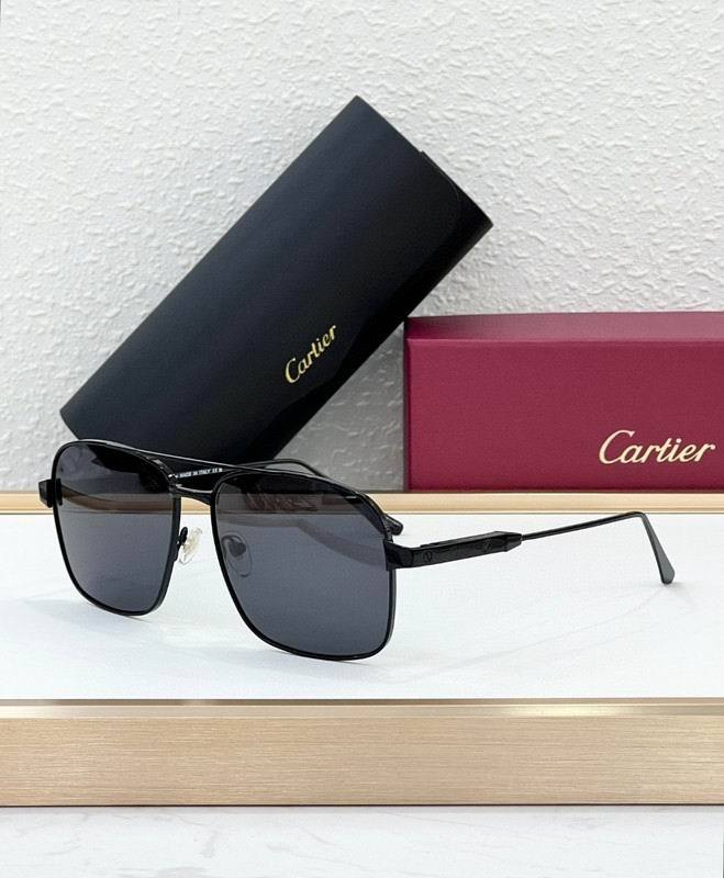CTR Sunglasses AAA-687