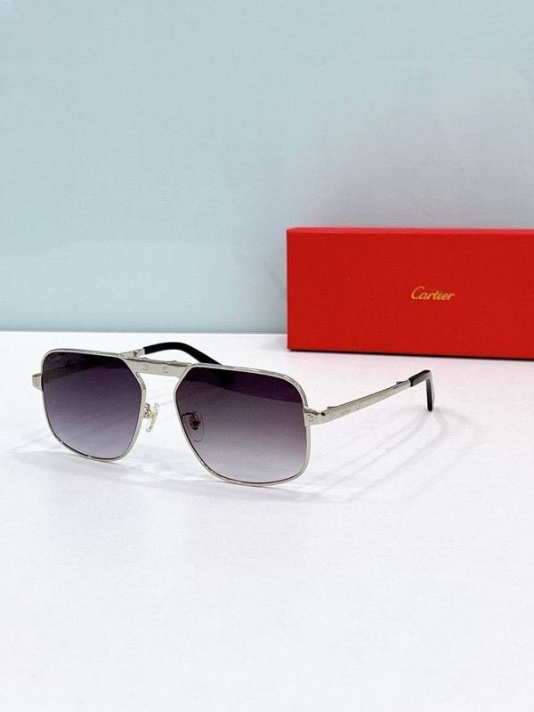 CTR Sunglasses AAA-685