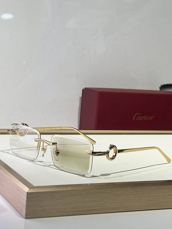 CTR Sunglasses AAA-678