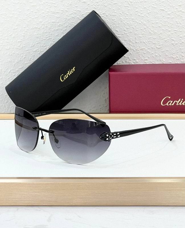 CTR Sunglasses AAA-688