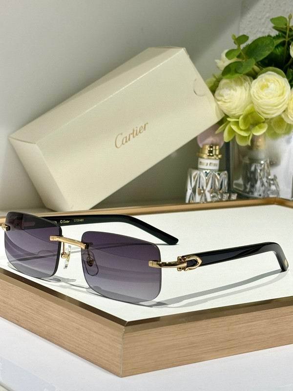 CTR Sunglasses AAA-670