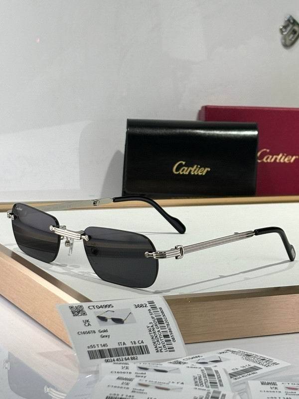 CTR Sunglasses AAA-679
