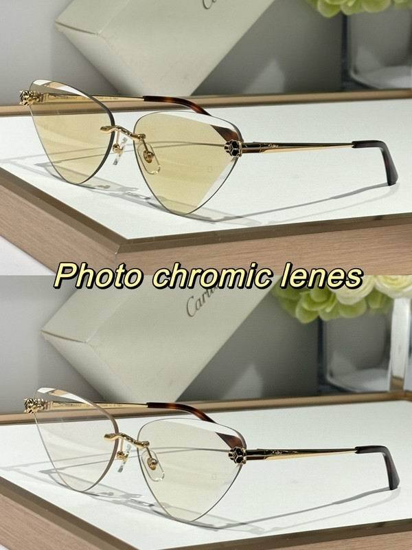 CTR Sunglasses AAA-681