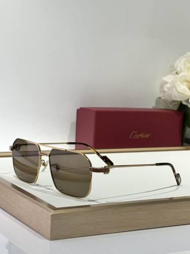 CTR Sunglasses AAA-669