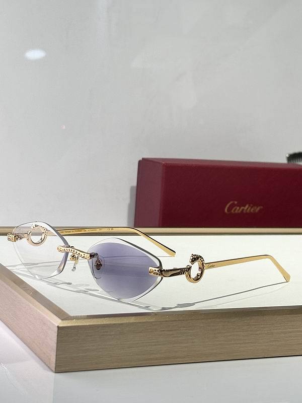CTR Sunglasses AAA-683