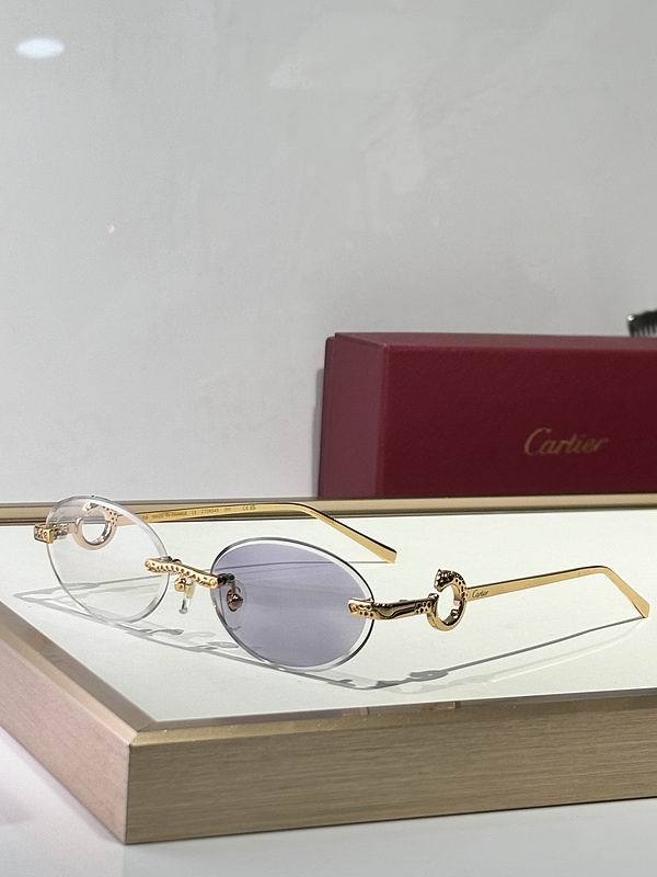 CTR Sunglasses AAA-684
