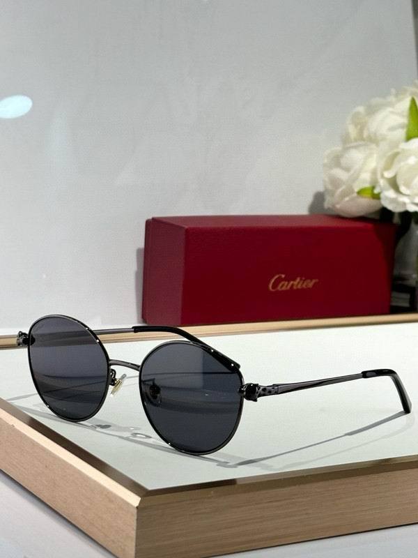 CTR Sunglasses AAA-674