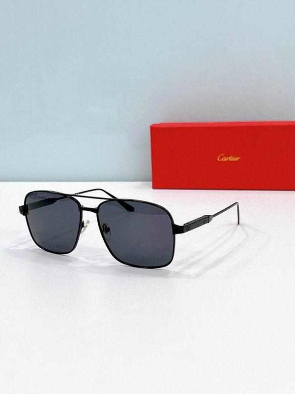 CTR Sunglasses AAA-672
