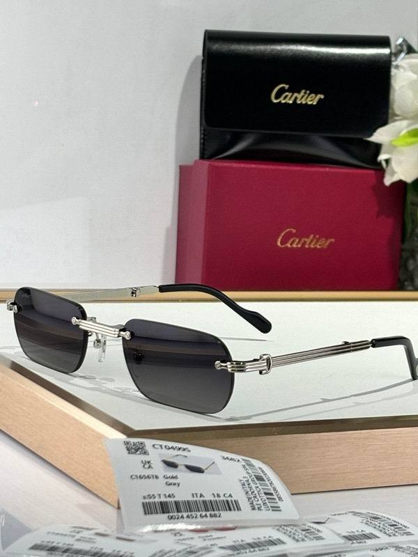 CTR Sunglasses AAA-679