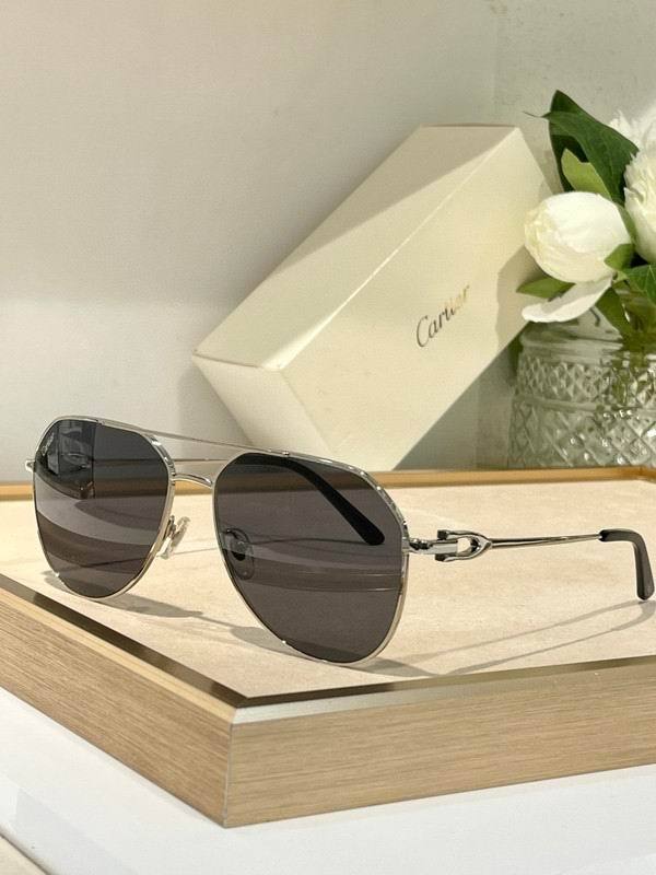 CTR Sunglasses AAA-671