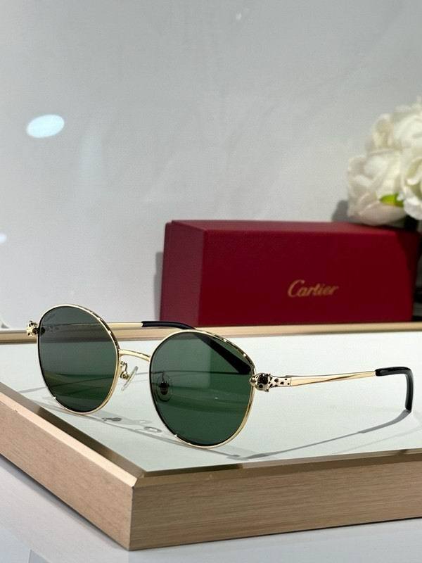 CTR Sunglasses AAA-674