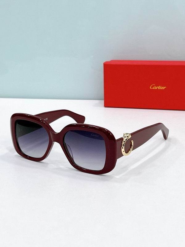 CTR Sunglasses AAA-675