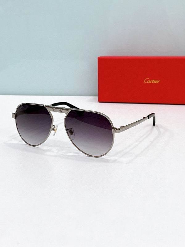 CTR Sunglasses AAA-686