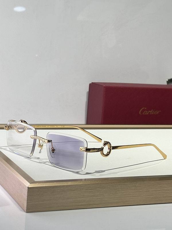 CTR Sunglasses AAA-678